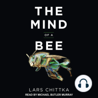 The Mind of a Bee