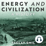 Energy and Civilization