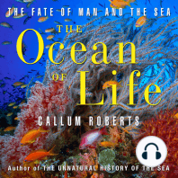 The Ocean of Life