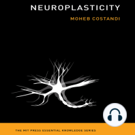 Neuroplasticity