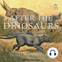 After the Dinosaurs