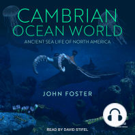 Cambrian Ocean World