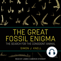 The Great Fossil Enigma