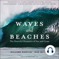 Waves and Beaches: The Powerful Dynamics of Sea and Coast