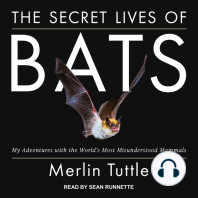 The Secret Lives of Bats