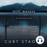 Still Waters