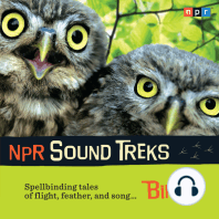 NPR Sound Treks