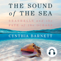 The Sound of the Sea