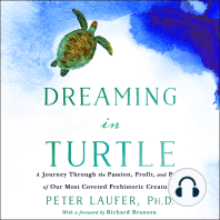 Dreaming in Turtle