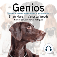Genios (Genious)