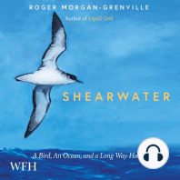 Shearwater