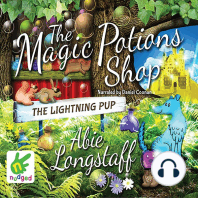 The Magic Potions Shop