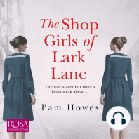 The Shop Girls of Lark Lane