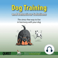 Dog Training and Behaviour Solutions