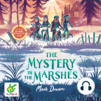 The Mystery in the Marshes