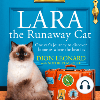 Lara The Runaway Cat