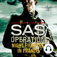 Night Fighters in France