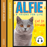 Alfie Cat In Trouble