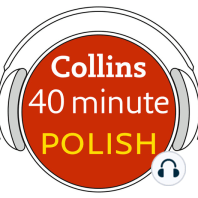 Polish in 40 Minutes