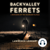 Backvalley Ferrets