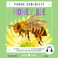 Honey Bee (Young Zoologist)