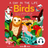 Birds (A Day in the Life)