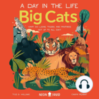 Big Cats (A Day in the Life)