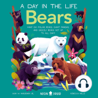 Bears (A Day in the Life)