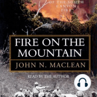 Fire on the Mountain