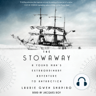 The Stowaway