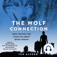 The Wolf Connection