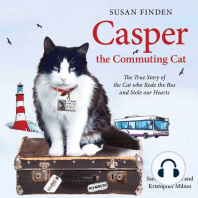 Casper the Commuting Cat