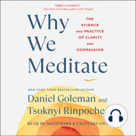 Why We Meditate