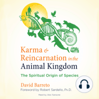Karma and Reincarnation in the Animal Kingdom