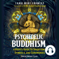 Psychedelic Buddhism: A User's Guide to Traditions, Symbols, and Ceremonies