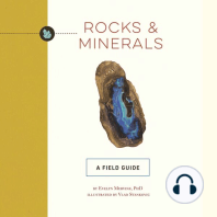 Rocks and Minerals