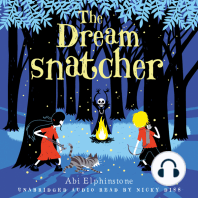 The Dreamsnatcher