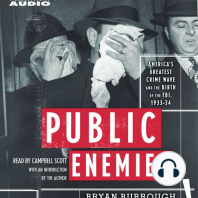 Public Enemies