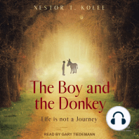The Boy and the Donkey