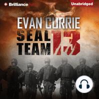 SEAL Team 13