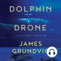 Dolphin Drone