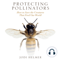 Protecting Pollinators: How to Save the Creatures that Feed Our World