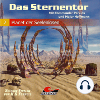 Das Sternentor - Mit Commander Perkins und Major Hoffmann, Folge 2