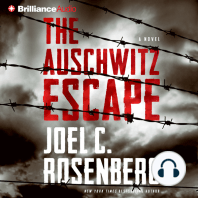 The Auschwitz Escape