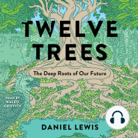 Twelve Trees