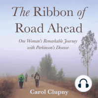 The Ribbon of Road Ahead