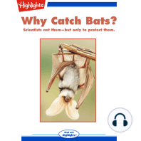 Why Catch Bats?