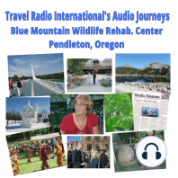 Blue Mountain Wildlife Rescue and Rehabilitation Center