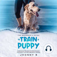 beginners guide to train a puppy ,The