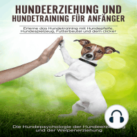 Hundeerziehung und Hundetraining für Anfänger